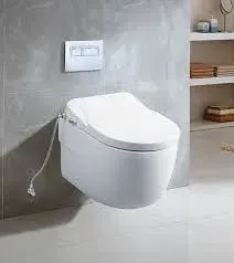 Wall_Hung_Toilet1[1]-3075551-97165.webp